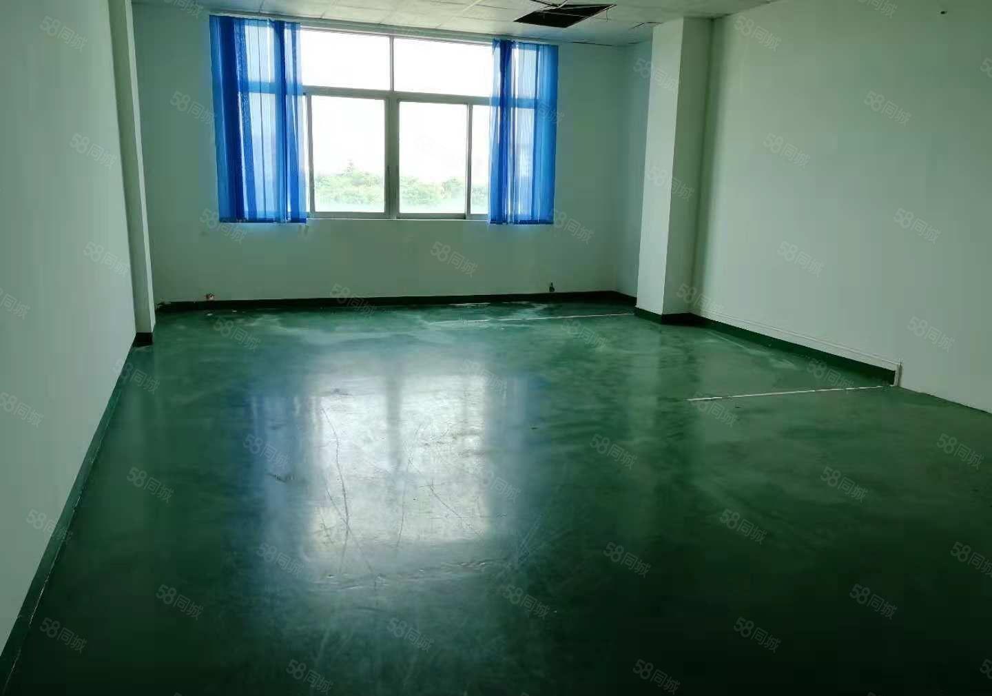 竹园新空出一楼全新无尘车间400方出租，楼高5.5米。