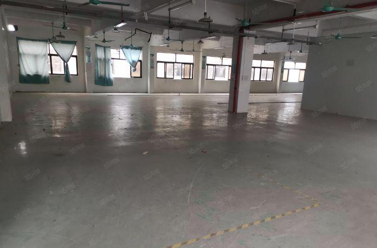 主山振兴路下桥水果市场附近新空出厂房二楼980方带5间办公室