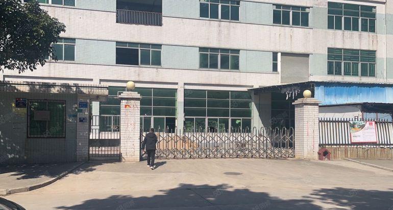 东城新出原房东标准靓独院。形象好工业用地一楼高六米。带牛角位