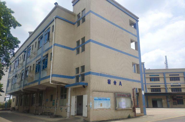 东城原房东独门独院标准厂房出租，厂房，宿舍楼，饭堂齐全。