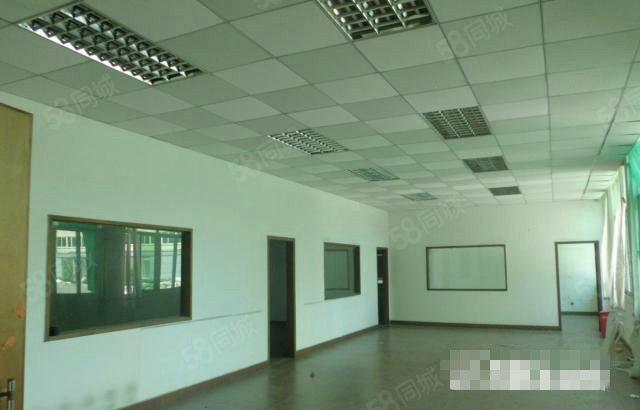 客运东站 旁办公贸易 电子商务 场地出租300平方,便宜