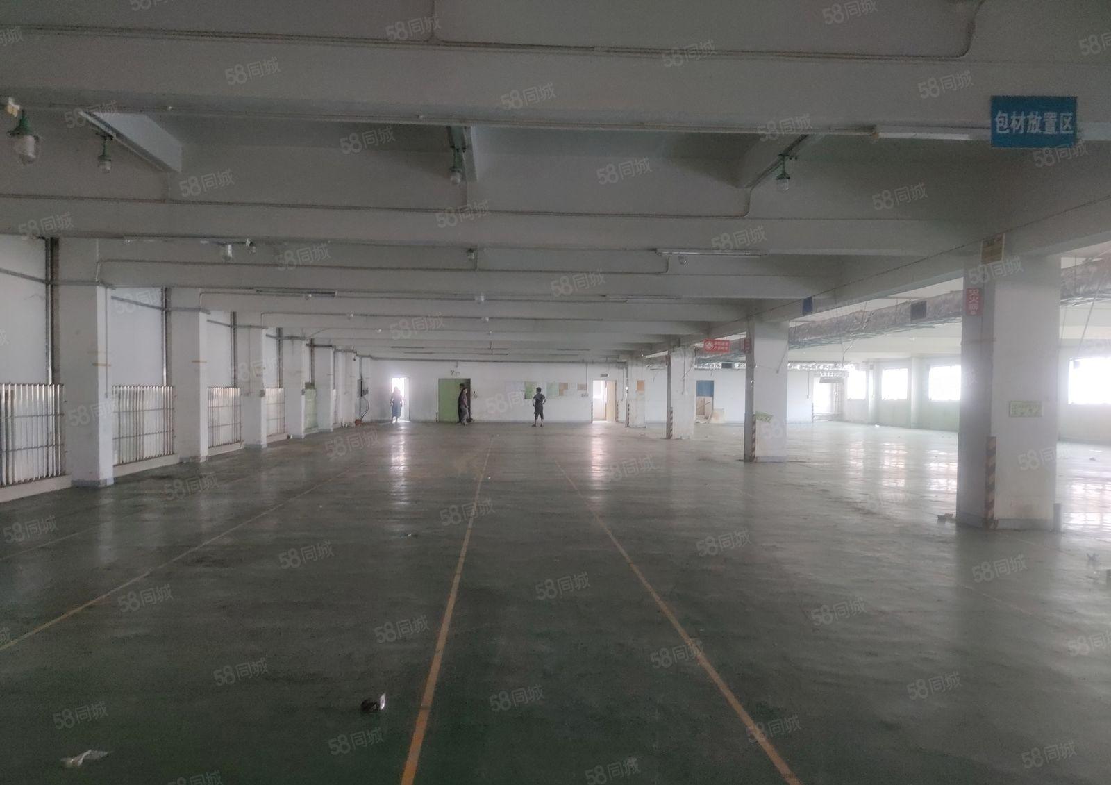 东城温塘楼上3000平方精装修低价厂房出租500平方起分租。