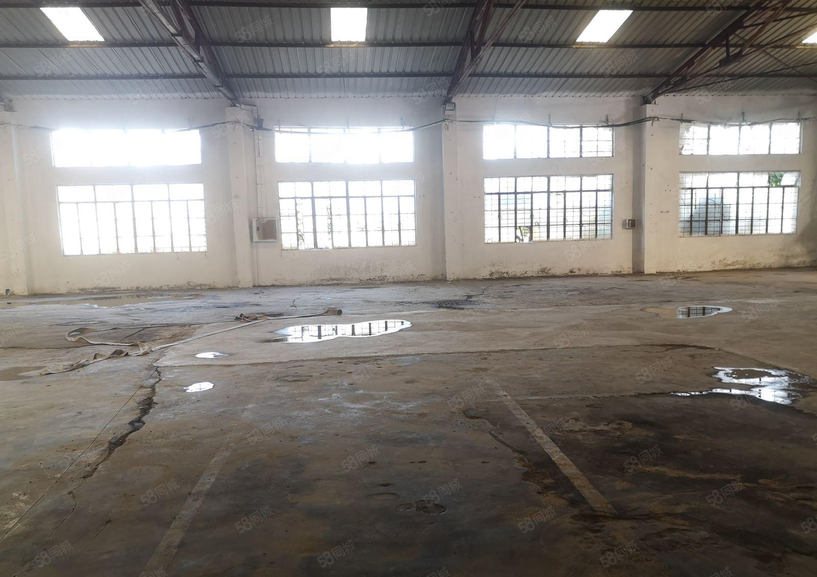 东城主山独栋厂房 钢构厂房单一层适合各行各业篮球馆等等