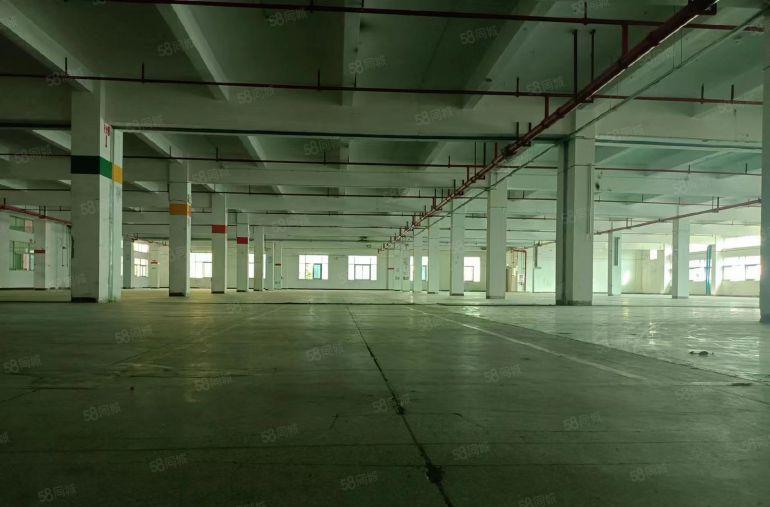 东莞东城原房东厂房出租 独门独院  行车 仓库出租 独院小厂