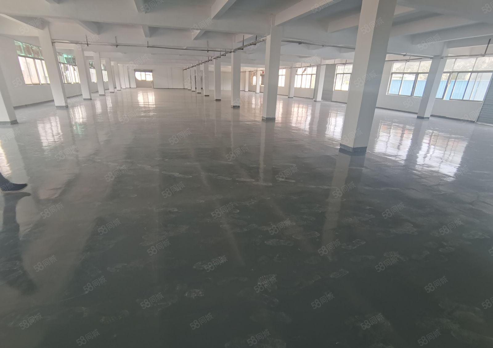 东城周屋一楼1200，2300平，二楼2000平，1860平