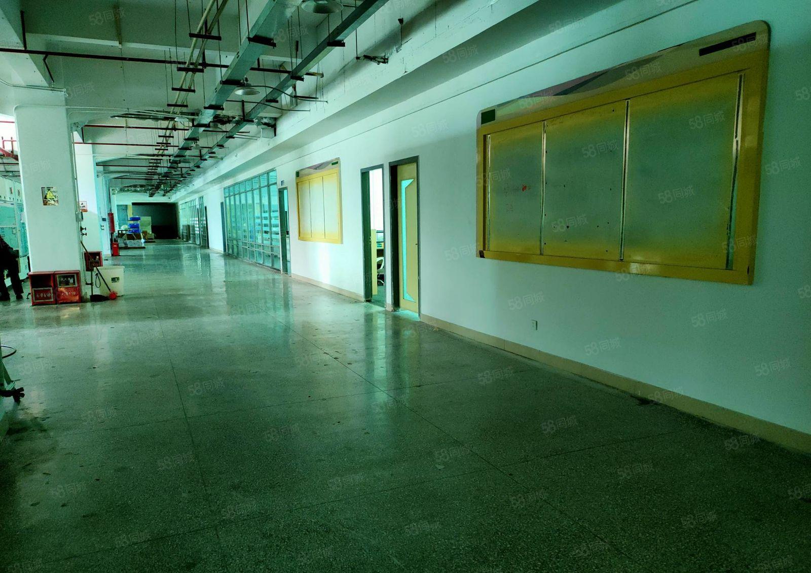 东城桑园工业区，新出带现成印刷环评厂房3800平，