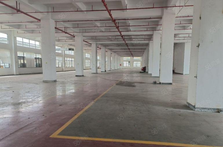 原房东厂房仓库直租  水电办公室现成 现成环评，可分租