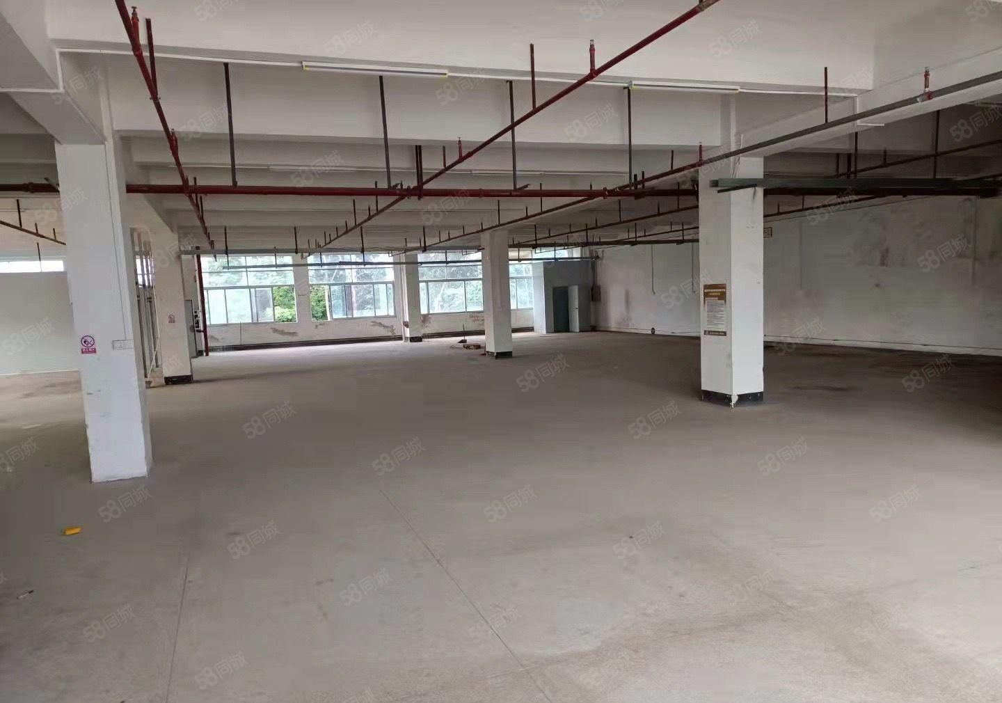 东城周屋工作园区厂房8000平方米可分租