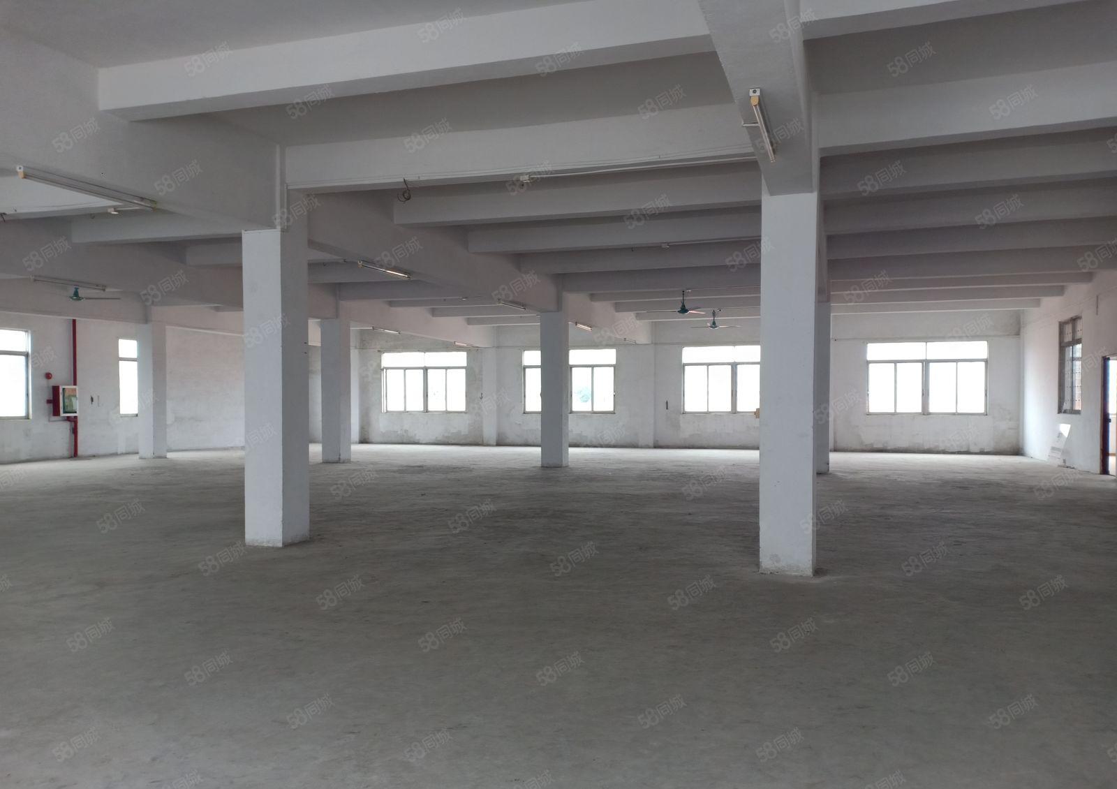 东城大井头900厂房出租