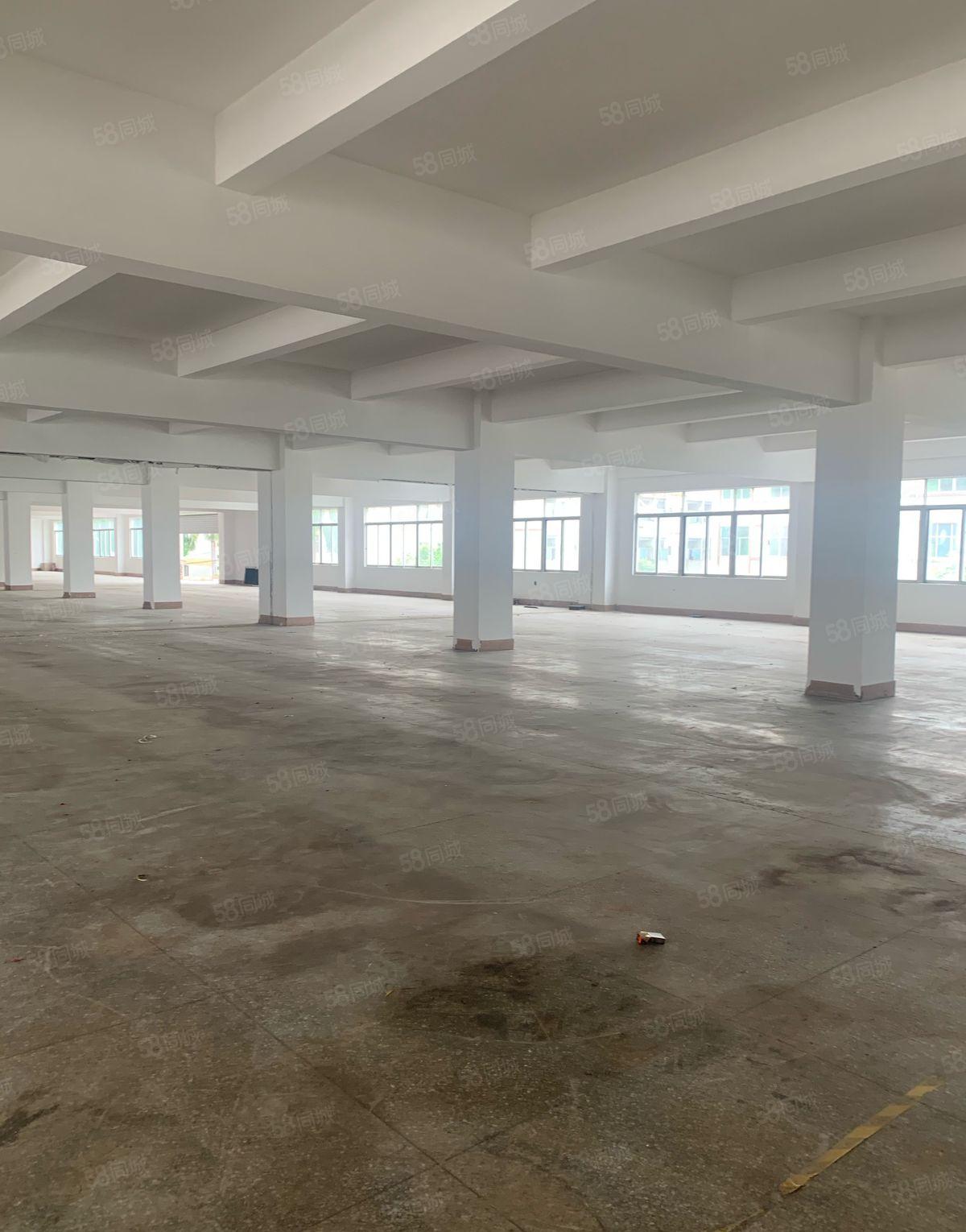 东城标准厂房新空出可整租可分租可般环评