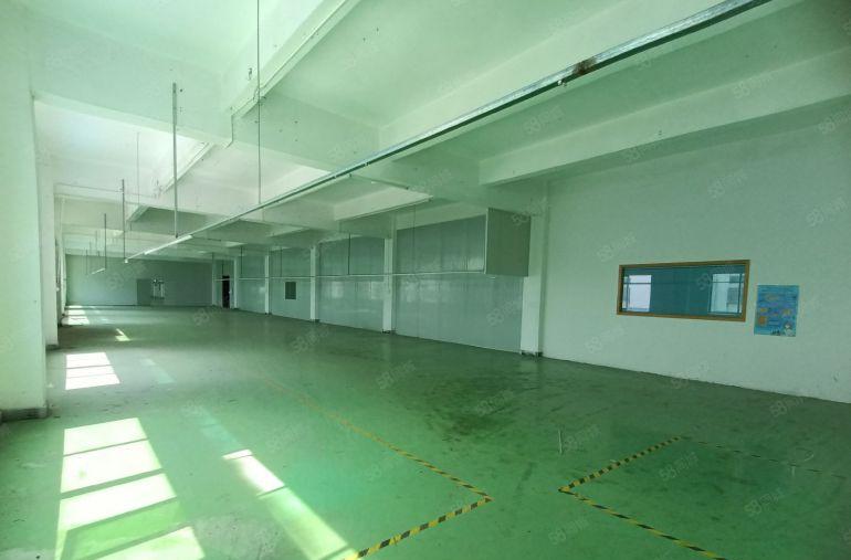 10元，10元不谈价，只要十元亏本甩租，200方起租，环境高