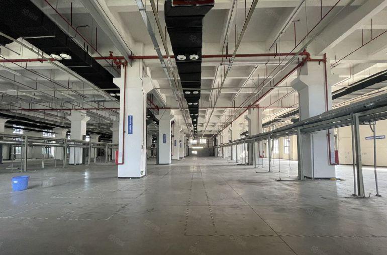 全新现代化厂房出租，首层9.2米高，租金楼上价