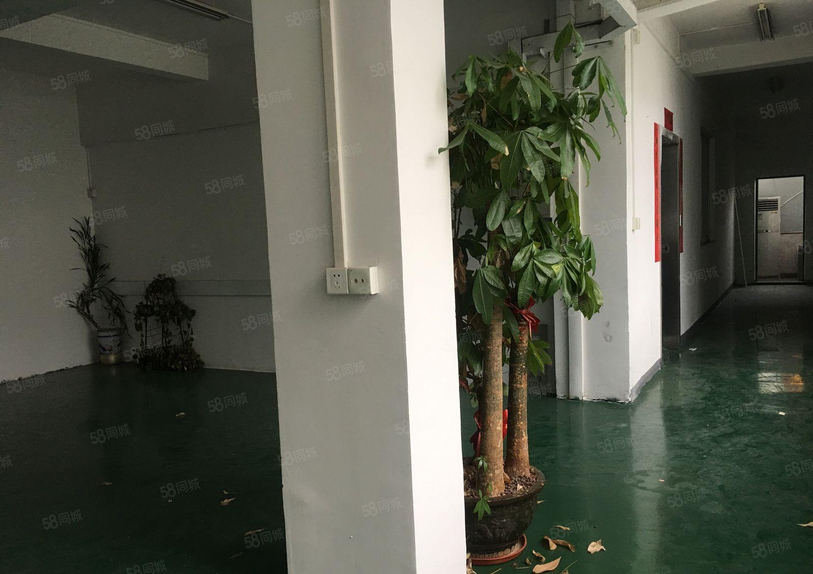 东城新出独门独院厂房仓库带现成装修低价出租