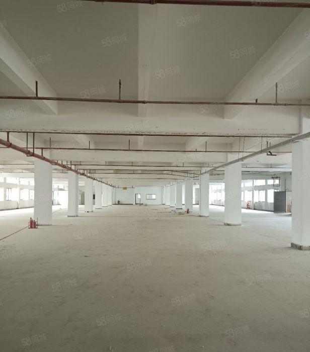 东城同沙 工业园区 形象好 空地超大