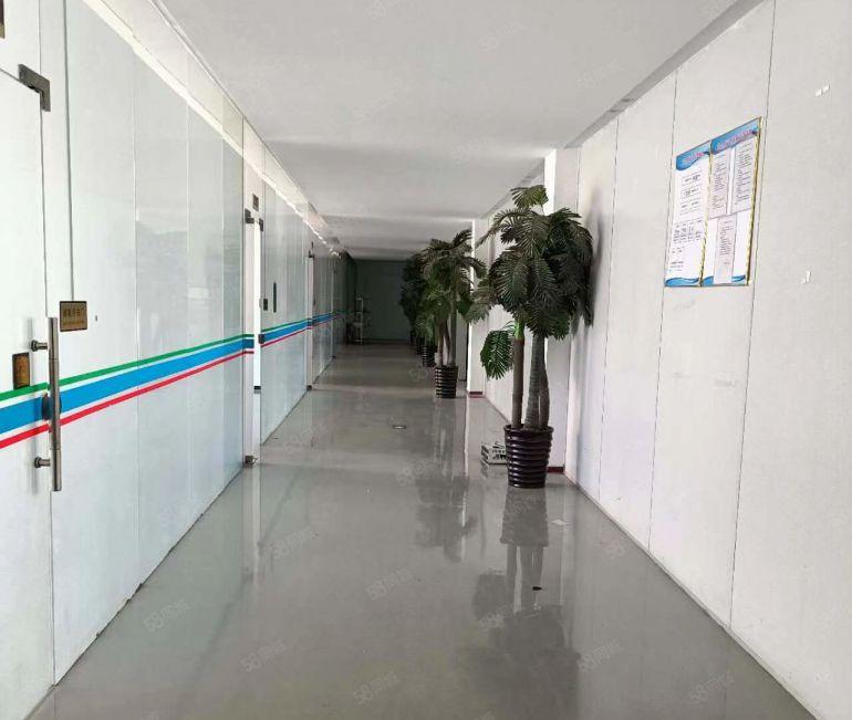 8块8 500平起分 上市公司形象厂房出租 现成装修水电齐全