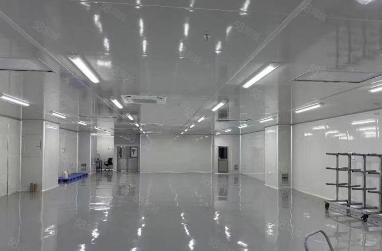 东莞东城原房东厂房出租 无尘车间 独门独院 行车 家具厂房