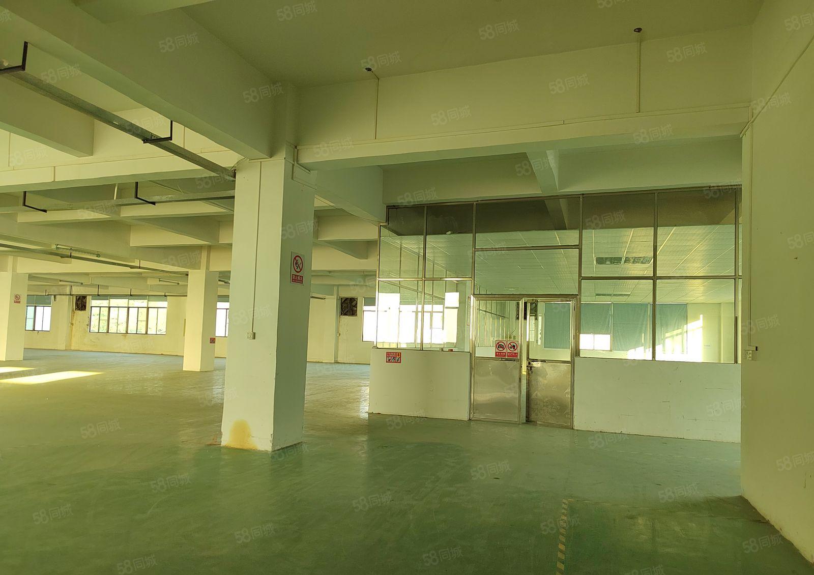 东城余屋工业厂房 每层1500平方 环评可办 电充足