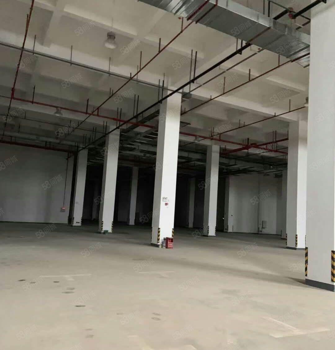 赠免租期！东莞东城区25800方厂房出租，可分租 形象好