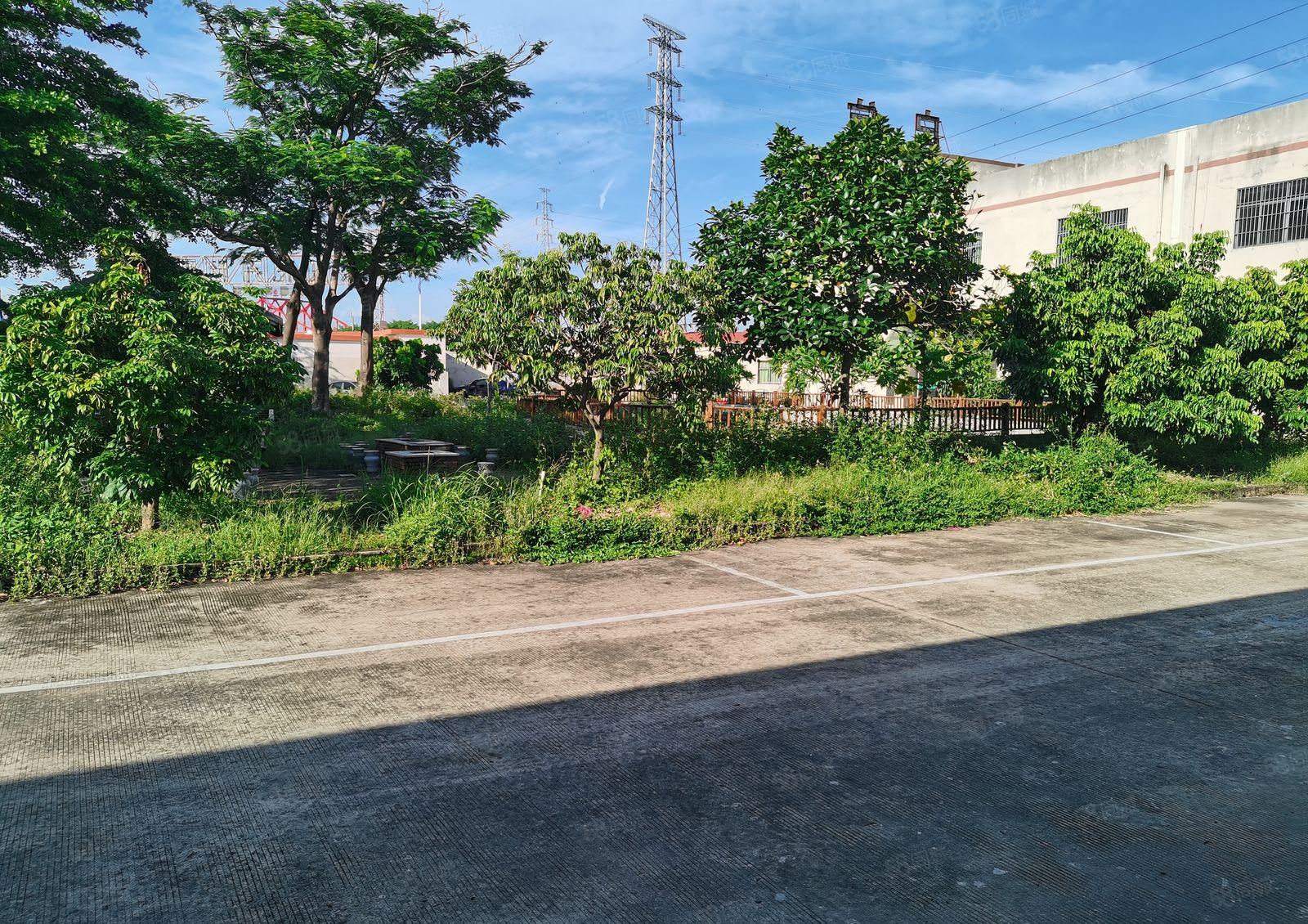 东城新出花园式独门独院厂房总面积4500平方