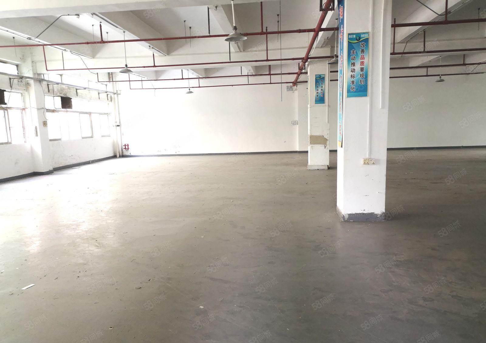 东莞城区周边温塘砖窑工业园区标准厂房900平现成办公室地坪漆