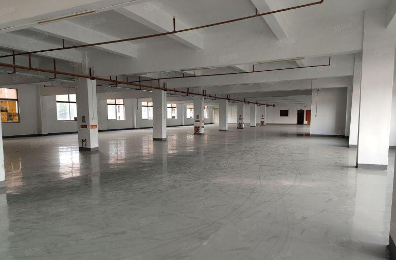 东城10元厂房出租 整层面积1500平方 现成地漆办公室