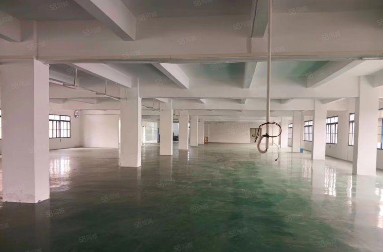 东莞东城桑园工业聚集地新出标准厂房500平 厂房出租现城装修