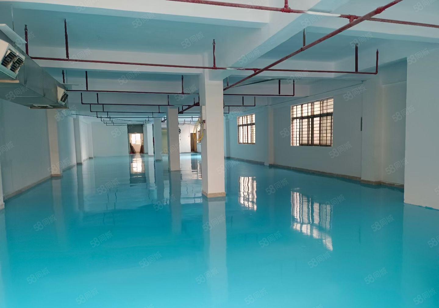 东城温塘自建厂房500方层一楼6米高，全新装修。