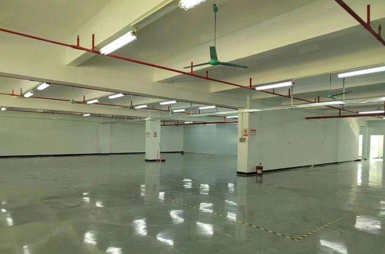 全新装修地坪漆二楼厂房低价出租