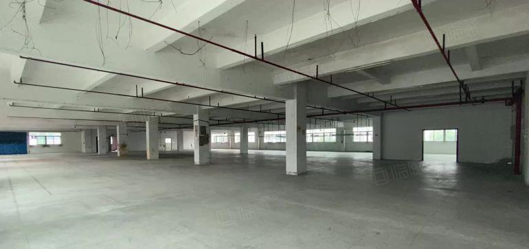 独院工业原房东东城街道 带现装修厂房出租空地大