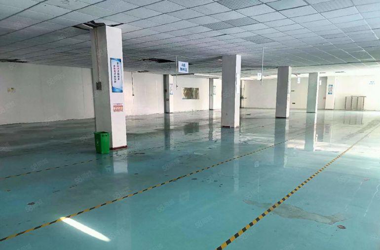 8块8 500平起分 上市公司形象厂房出租 现成装修水电齐全