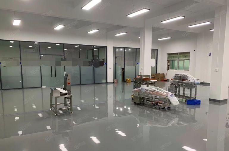 东莞东城厂房出租1楼500平方，全新装修，水电齐全，工业用地