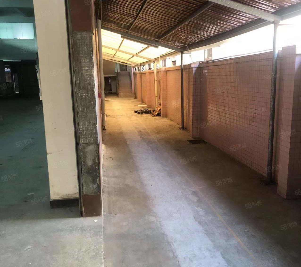 原房东！无公摊！东莞东城原房东独门独院厂房出租，形象好