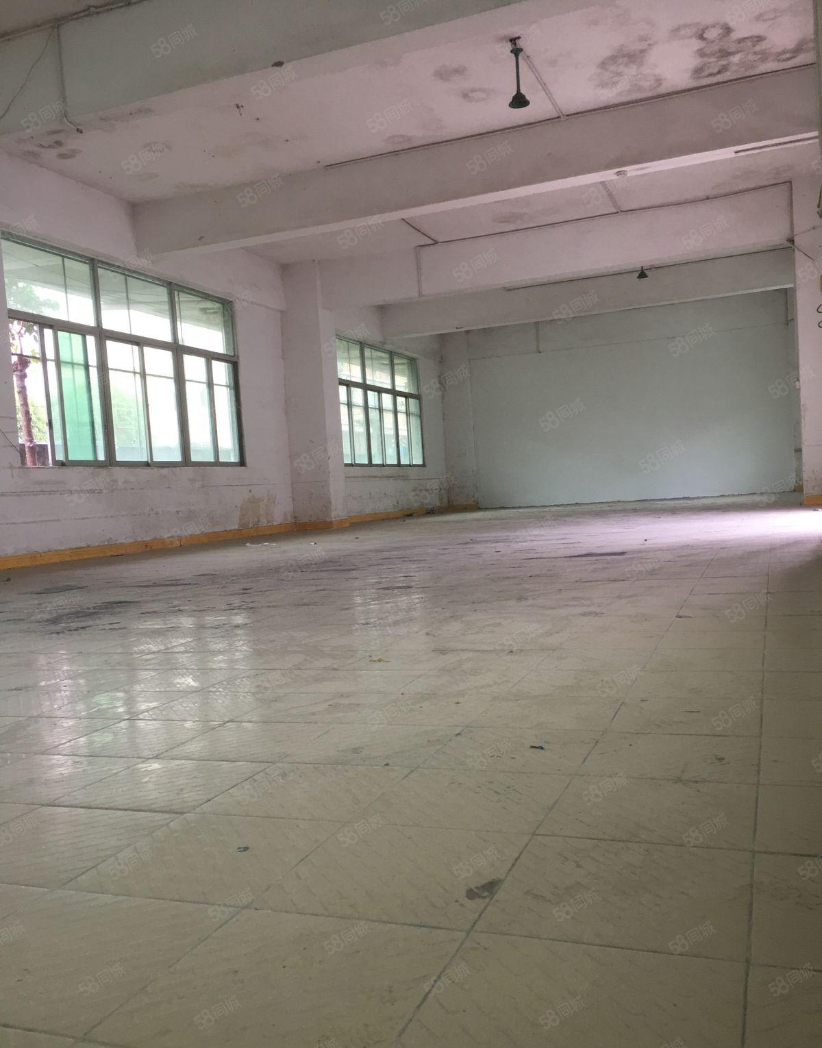 东城桑园新出2800平方厂房低价出租大小可分