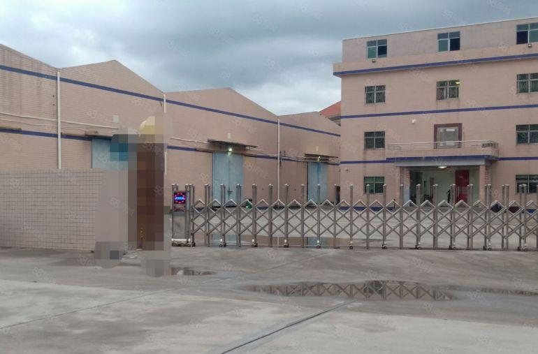 原房东！独门独院钢构厂房出租2800平，滴水11米，面积实量