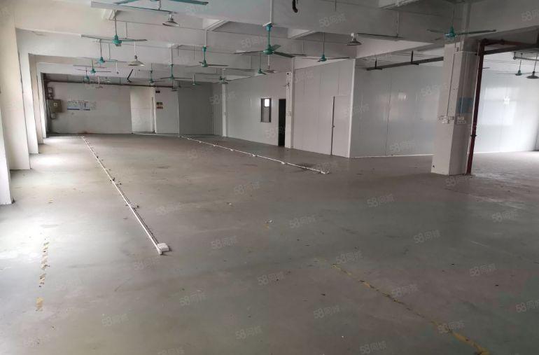 主山振兴路下桥水果市场附近新空出厂房二楼980方带5间办公室