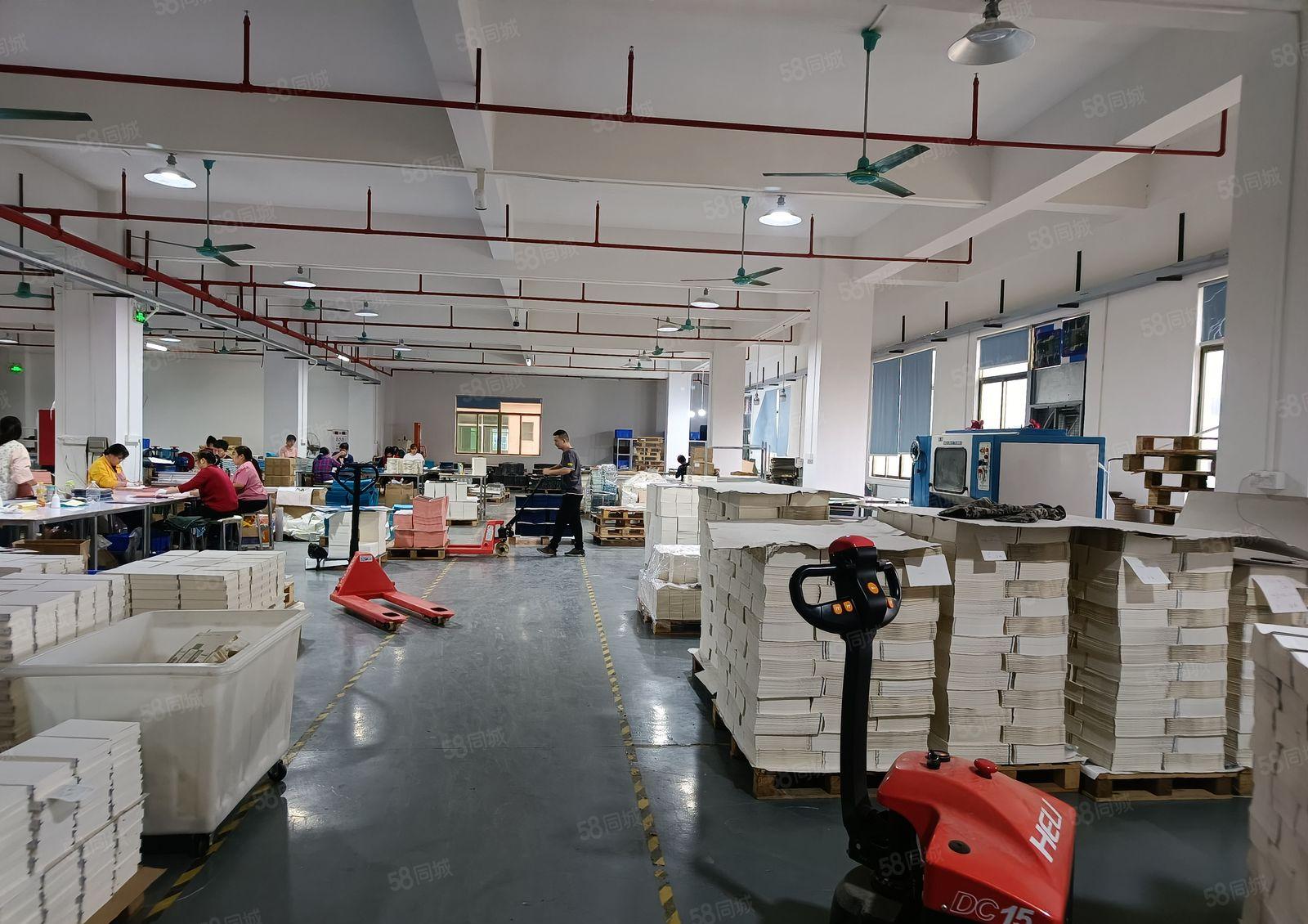 原房东独院厂房出租独栋厂房重工业厂房花园厂房精装修厂房