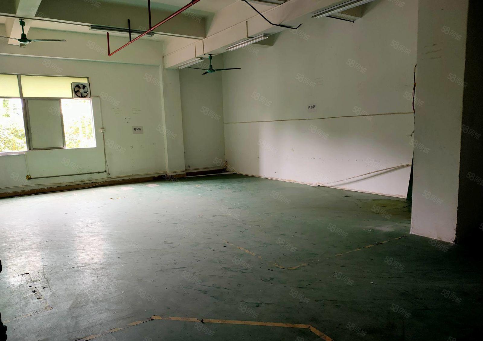 东城桑园工业区，新出带现成印刷环评厂房3800平，