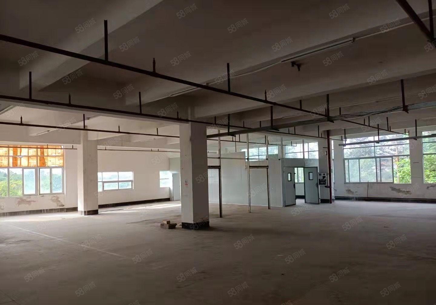 东城樟村独院厂房6500平方米招租