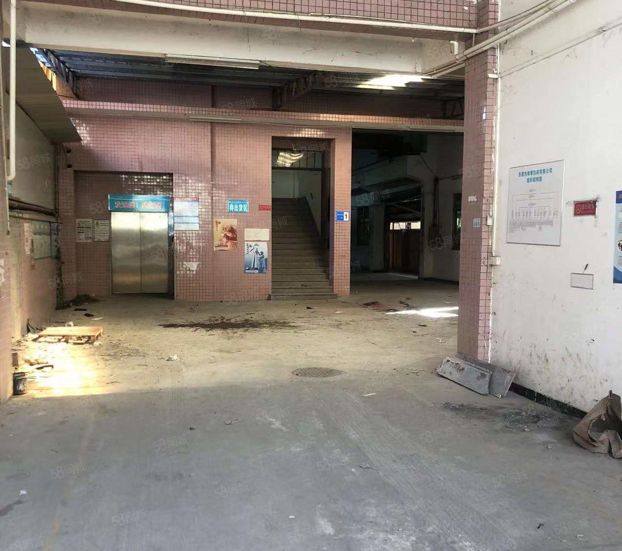 原房东！无公摊！东莞东城原房东独门独院厂房出租，形象好