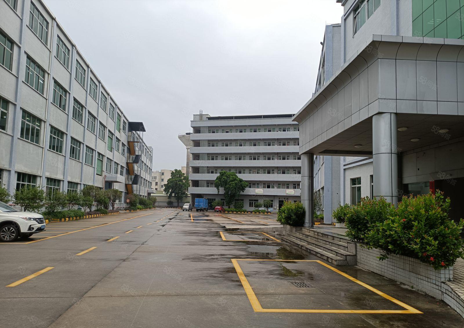 厂房出租东城带修厂房出租2楼1000平方3楼1800面积按需