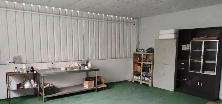 东莞东城新出九成新钢结构厂房出租5200平方水电齐全可分租