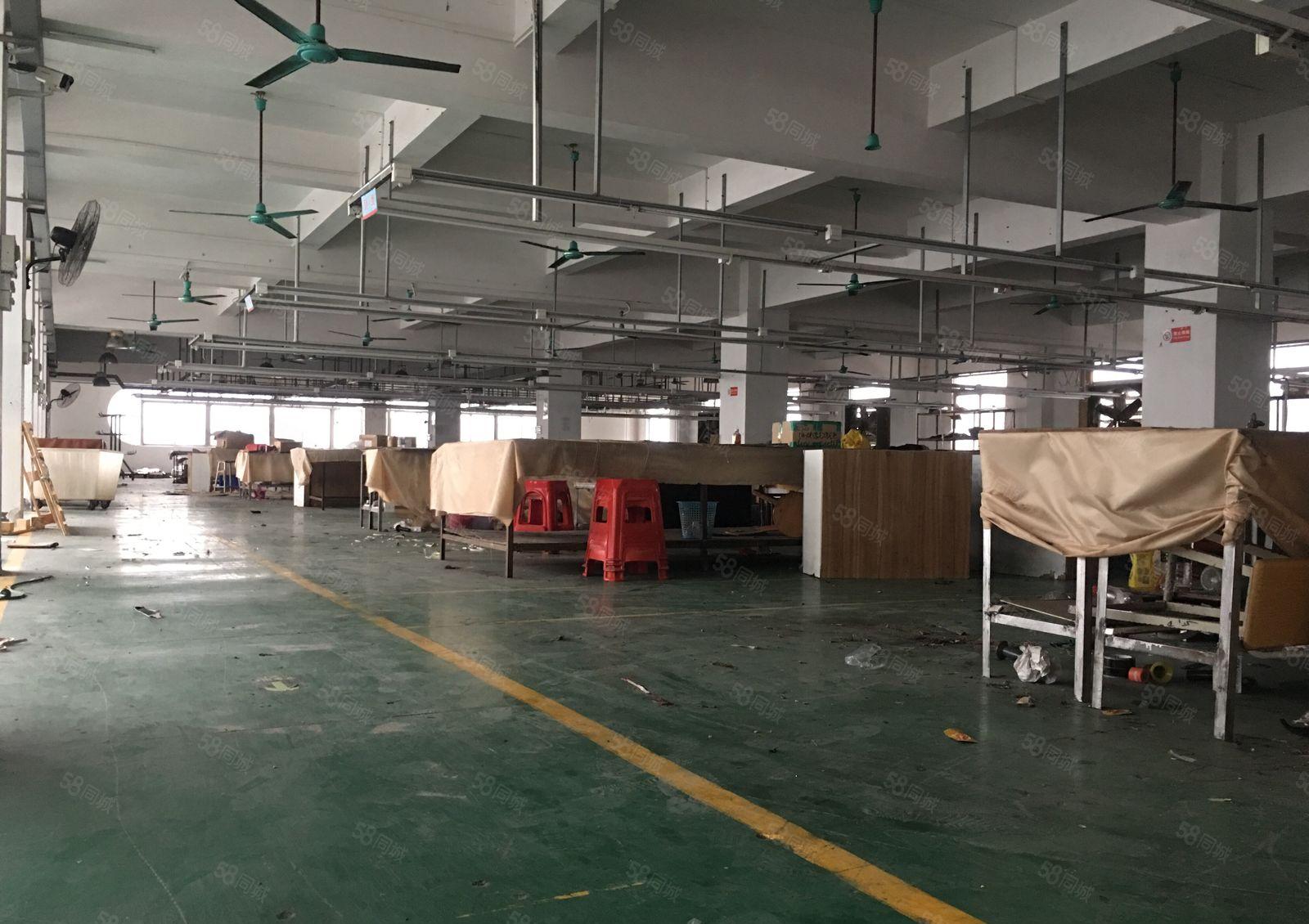 东城新出独门独院厂房仓库带现成装修低价出租