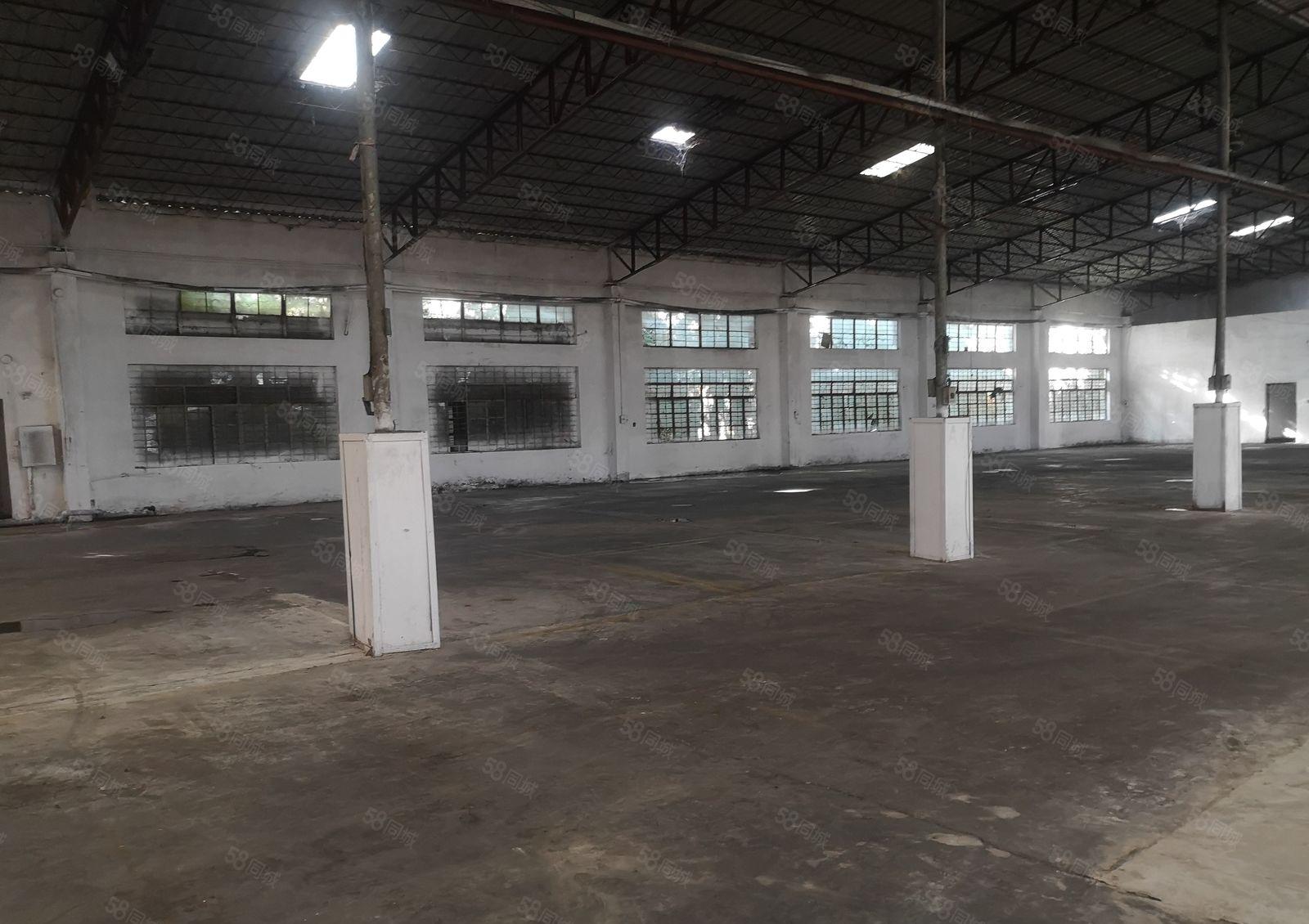 东城主山独栋厂房 钢构厂房单一层适合各行各业篮球馆等等