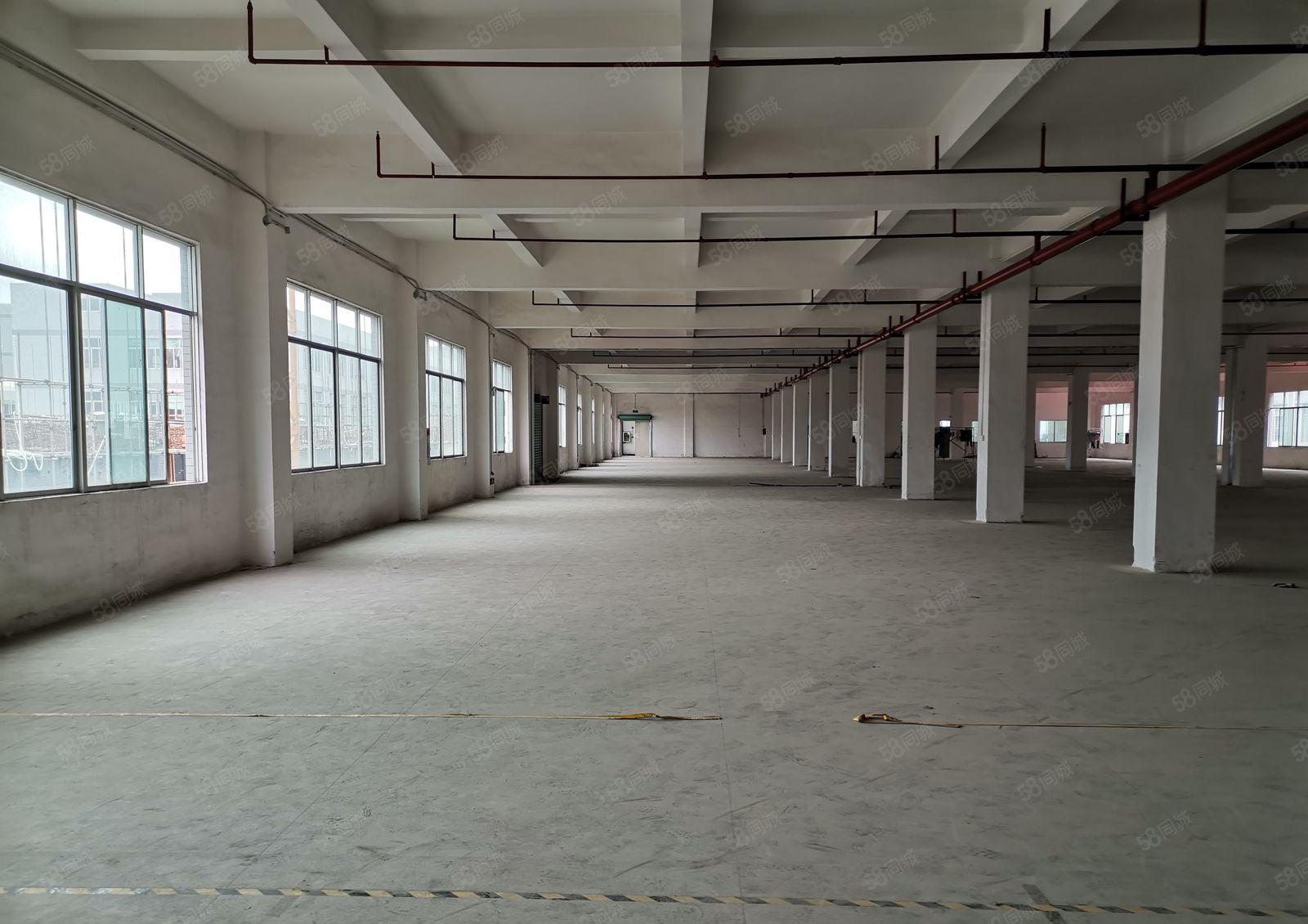 厂房出租东城带修厂房出租2楼1000平方3楼1800面积按需