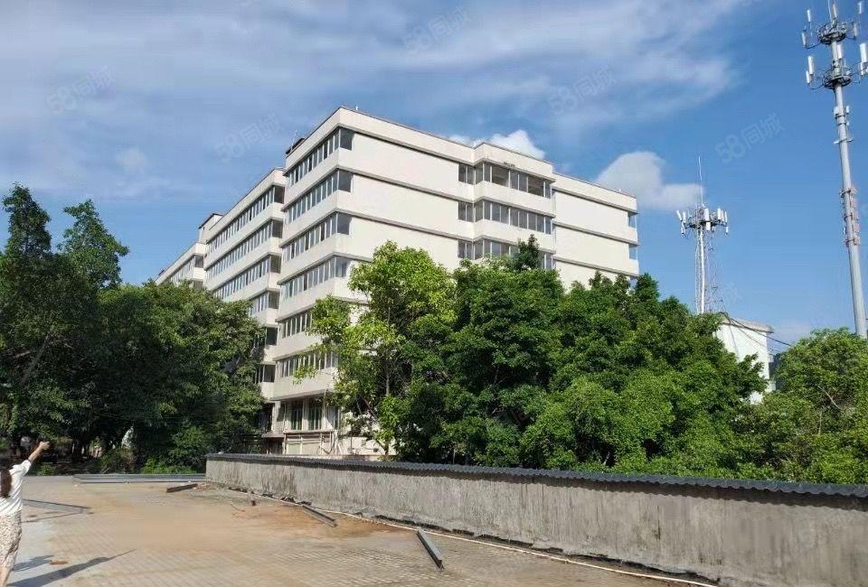 东城牛山4700方厂房分租大园区工业用地可办环评国道边