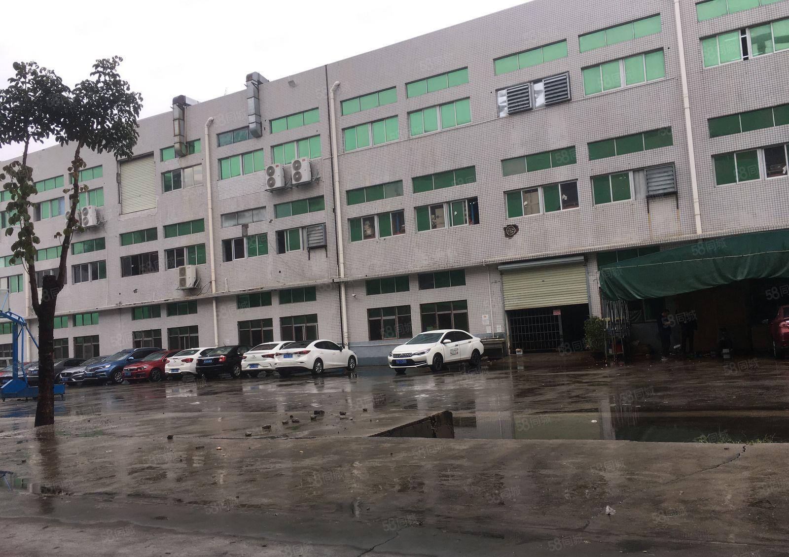 东城桑园新出2800平方厂房低价出租大小可分