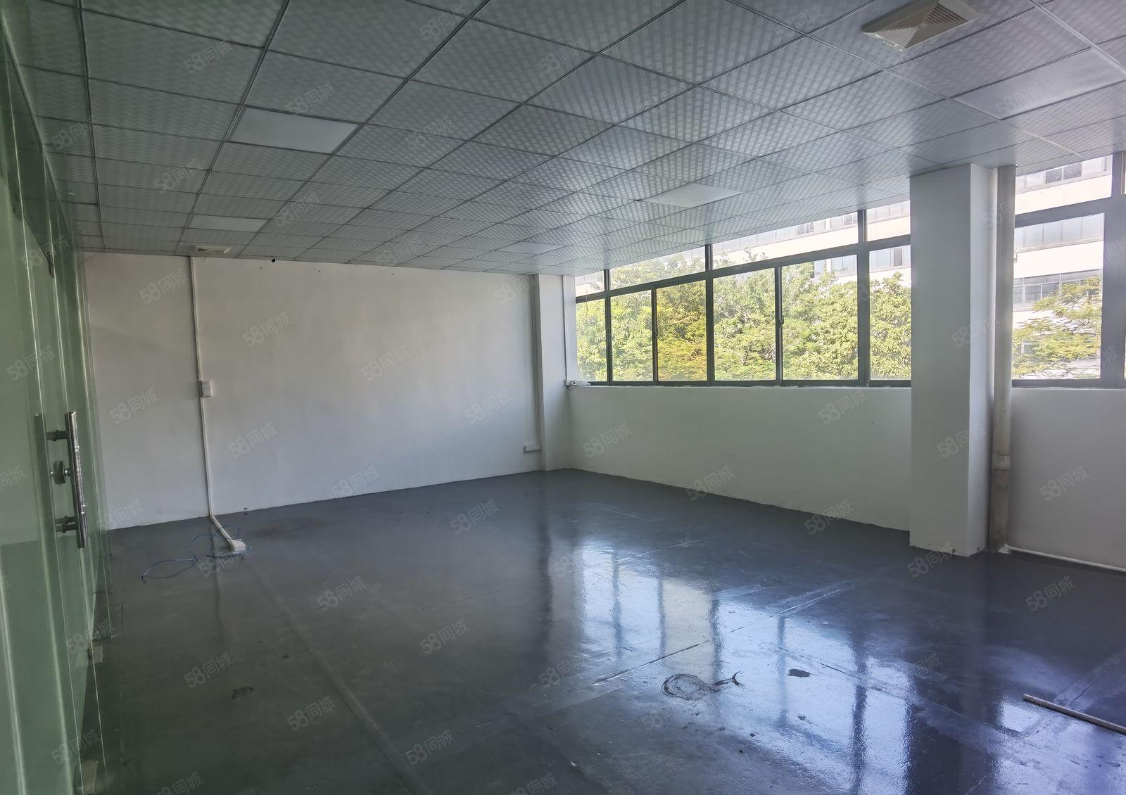 非中介实图 现成装修 石碣花园式产业园3楼378平米厂房出租