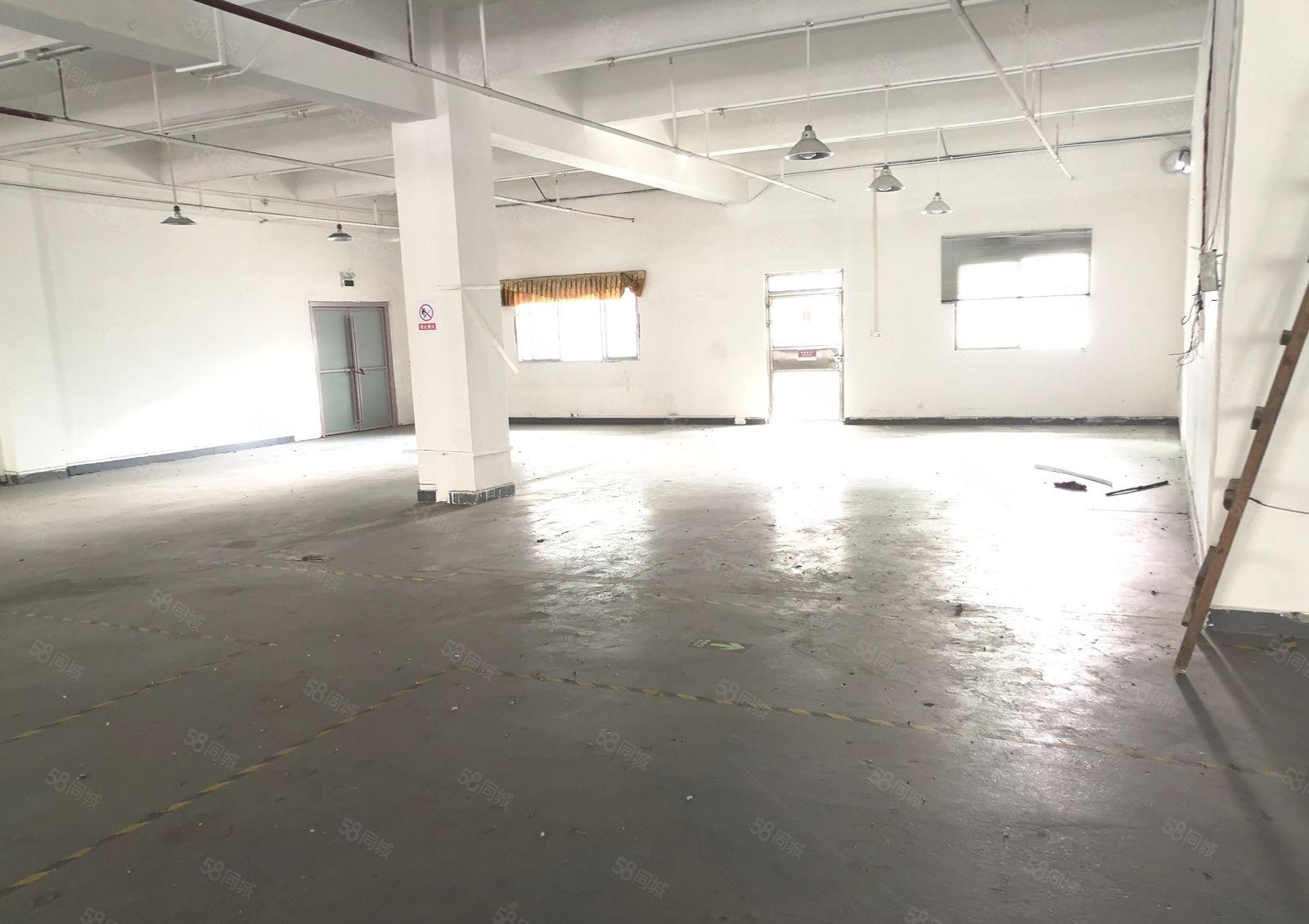 东莞城区周边温塘砖窑工业园区标准厂房900平现成办公室地坪漆