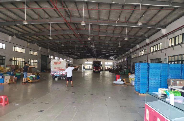 牛山 高度8米 钢构 10000平方 带卸货平台，可分租