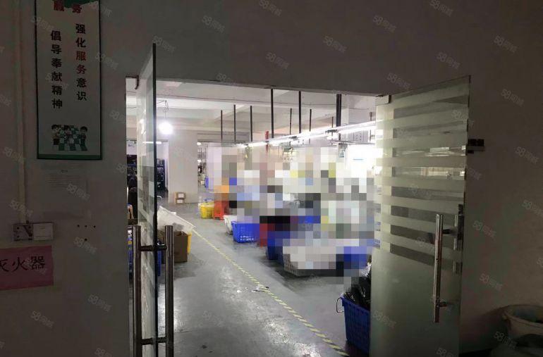 东莞东城周屋新出标准厂房，二楼三楼各1500平厂房出租